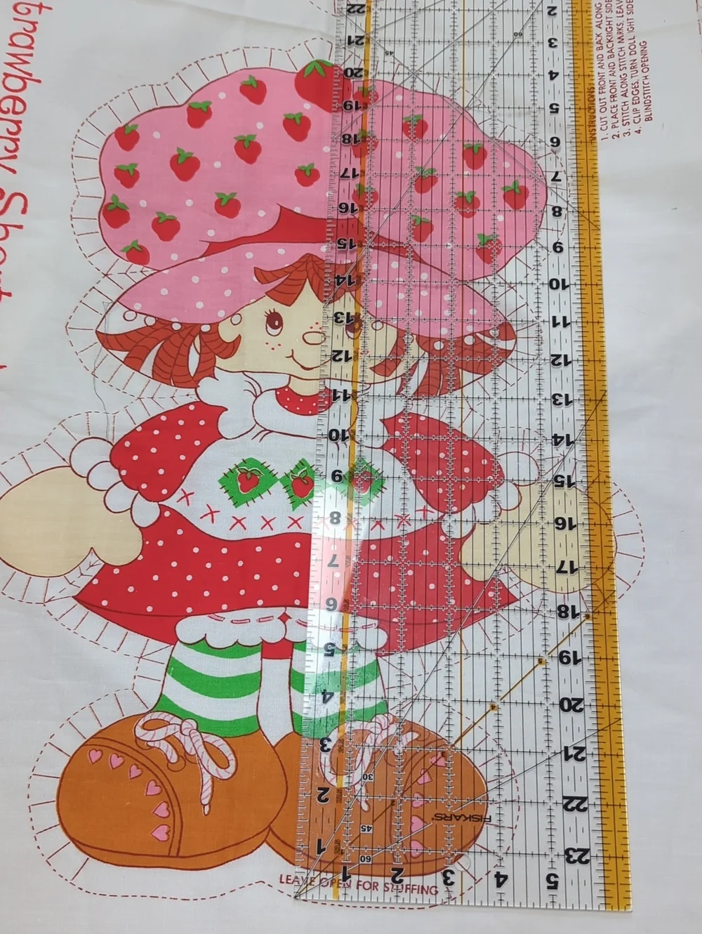 Strawberry Shortcake 20